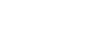 Count-IT-wit1.fw