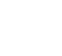 Logo Zinc
